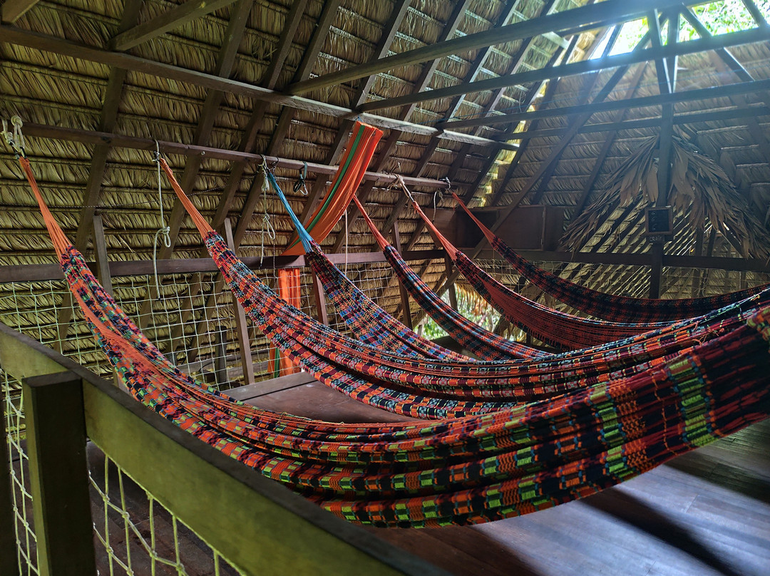 Camp Canopée-Kourou必去景点