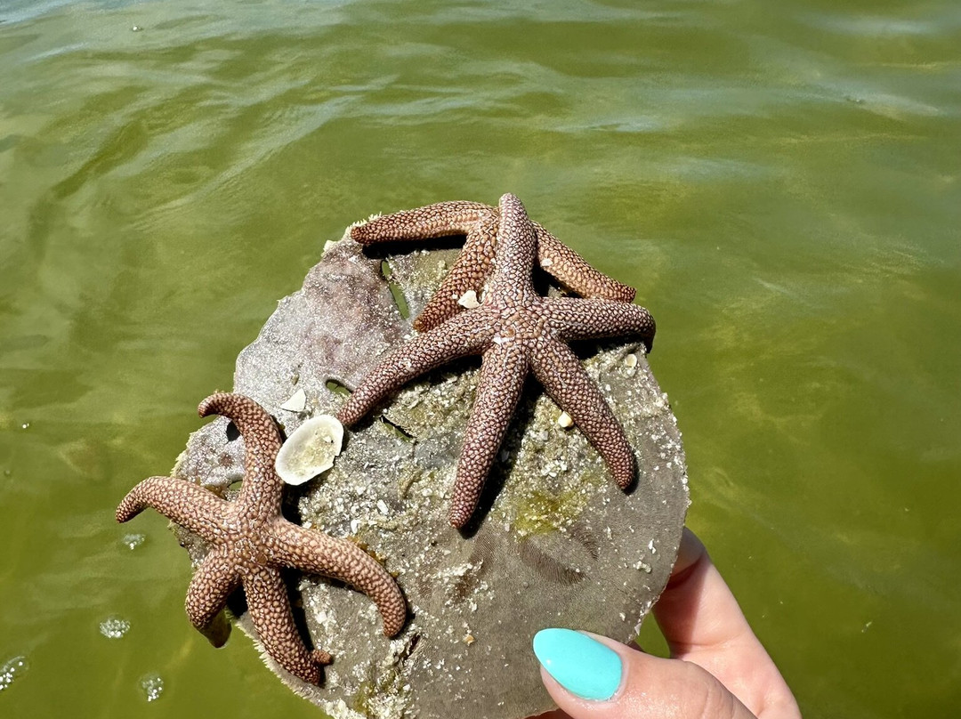 Boats And Fun-North Captiva Island必去景点