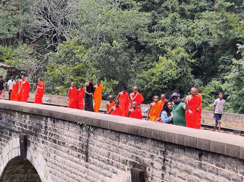 Manu Yala Safari Tour-蒂瑟默哈拉默必去景点