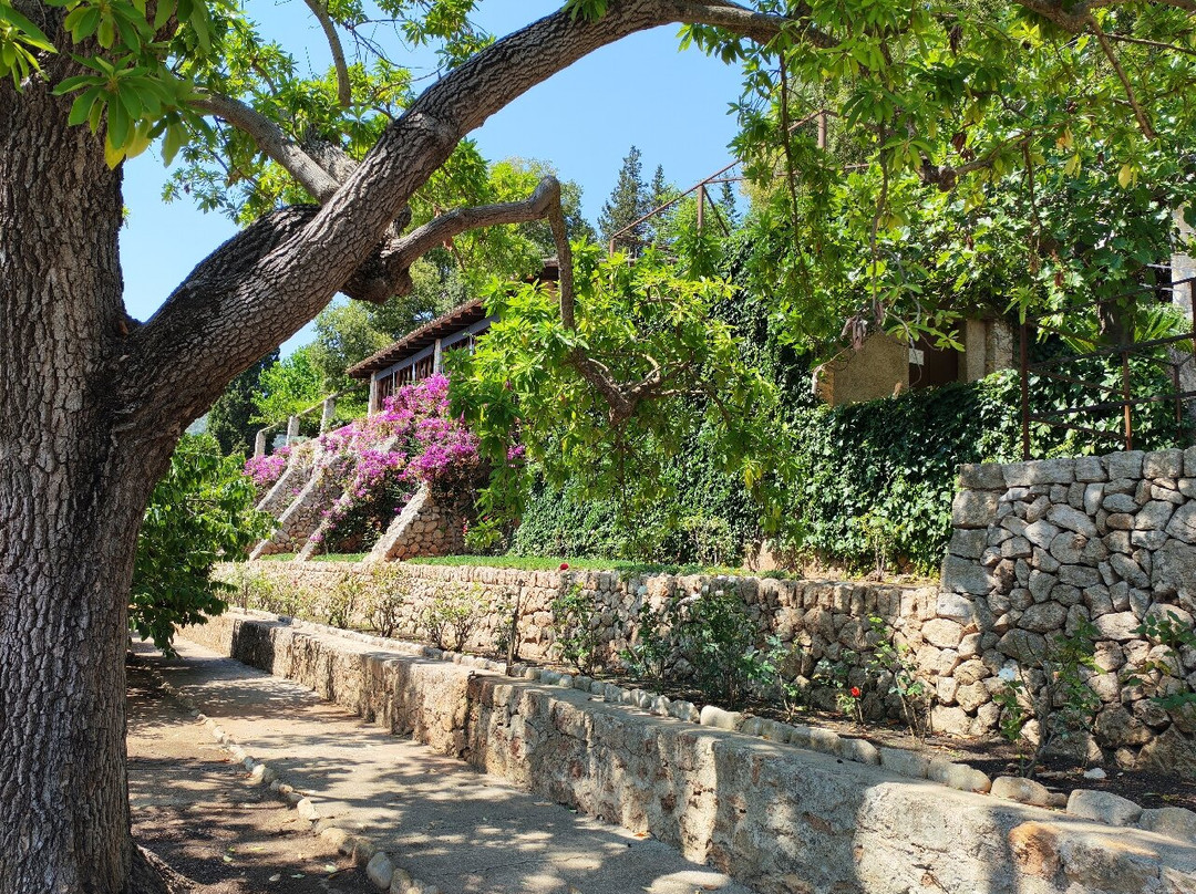 Coves de Campanet-Campanet必去景点