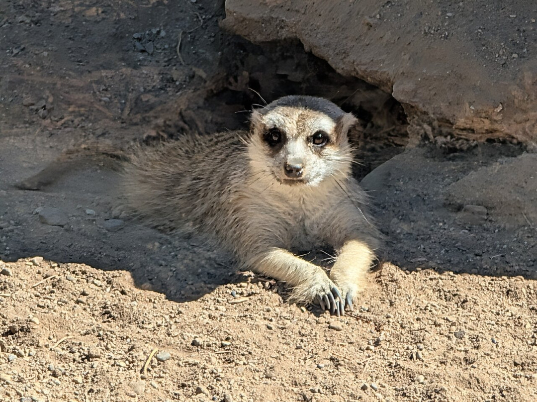 Central Coast Zoo-Atascadero必去景点