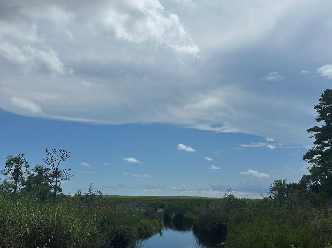 Nags Head Woods Preserve-斩魔山必去景点