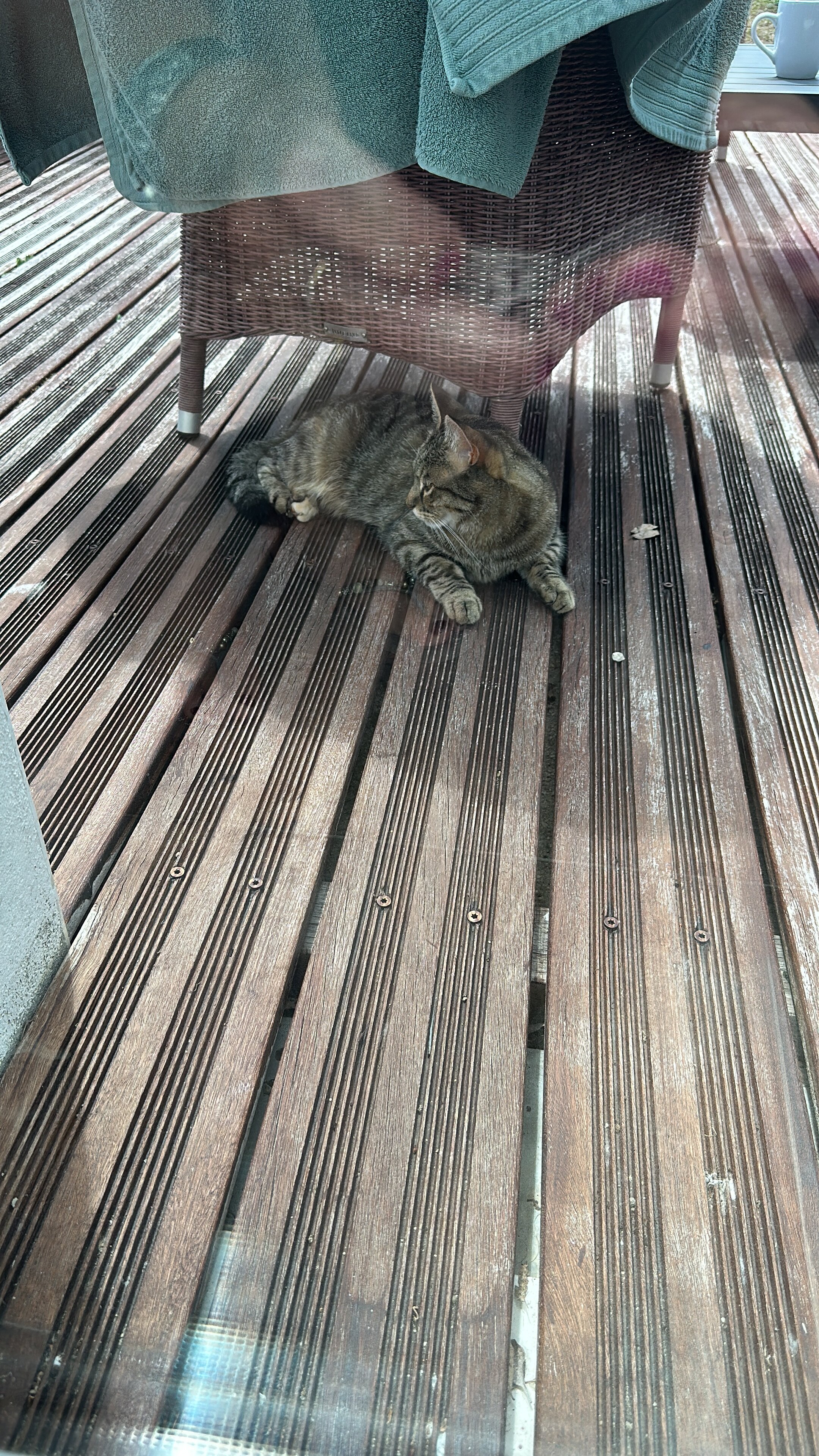 Les Arbres Rouges-浴室