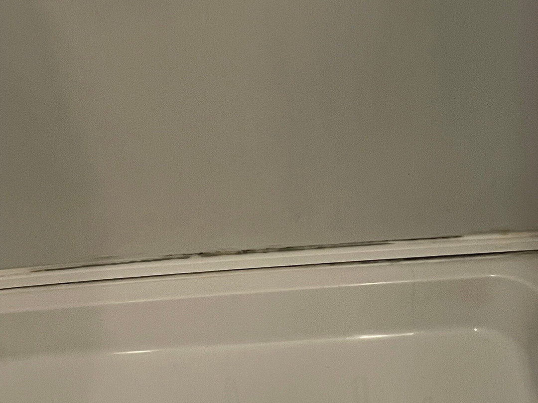 The George Inn主图