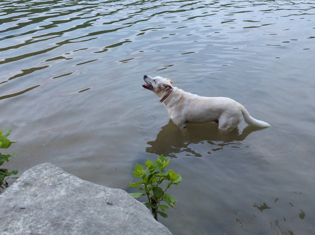 Hidden Harbor Marina-Smithville必去景点