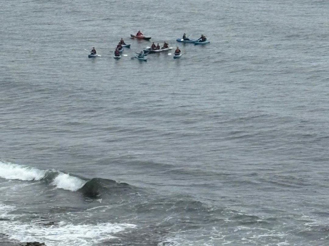 Vertical Blue Adventures-Porthleven必去景点