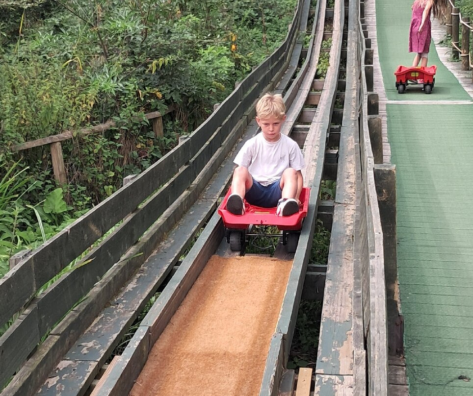 Fishers Farm Park-Wisborough Green必去景点