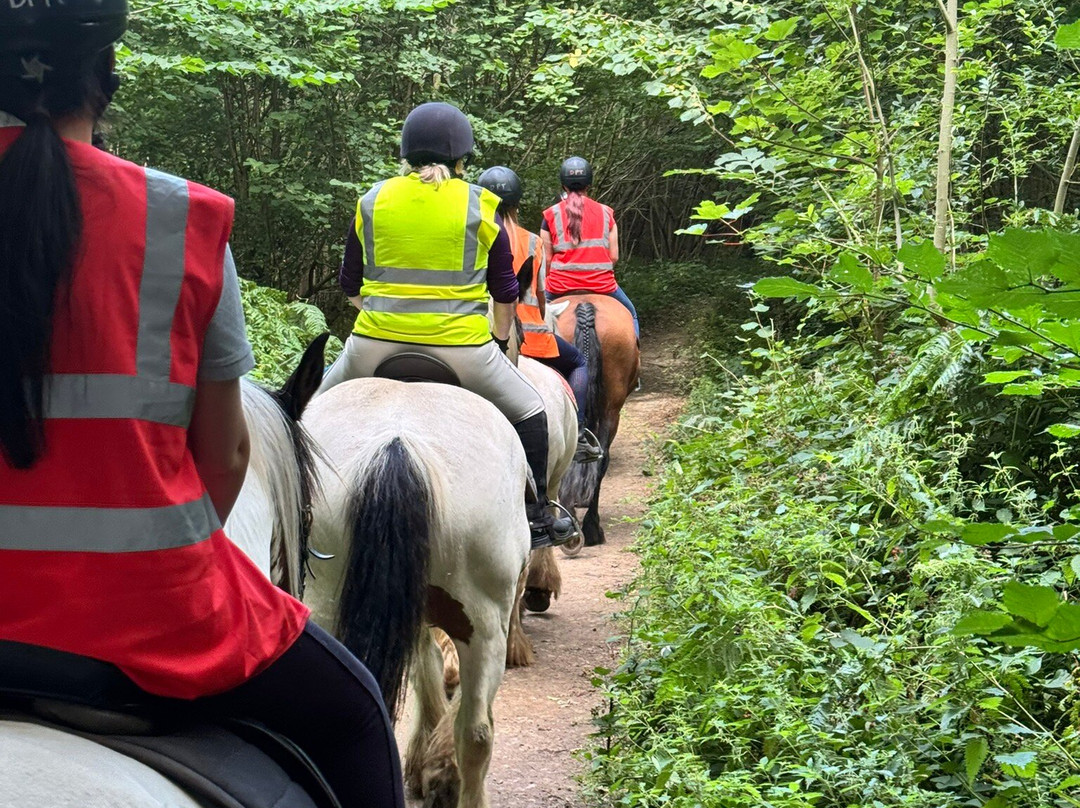 Derbyshire Pony Trekking-Mansfield必去景点