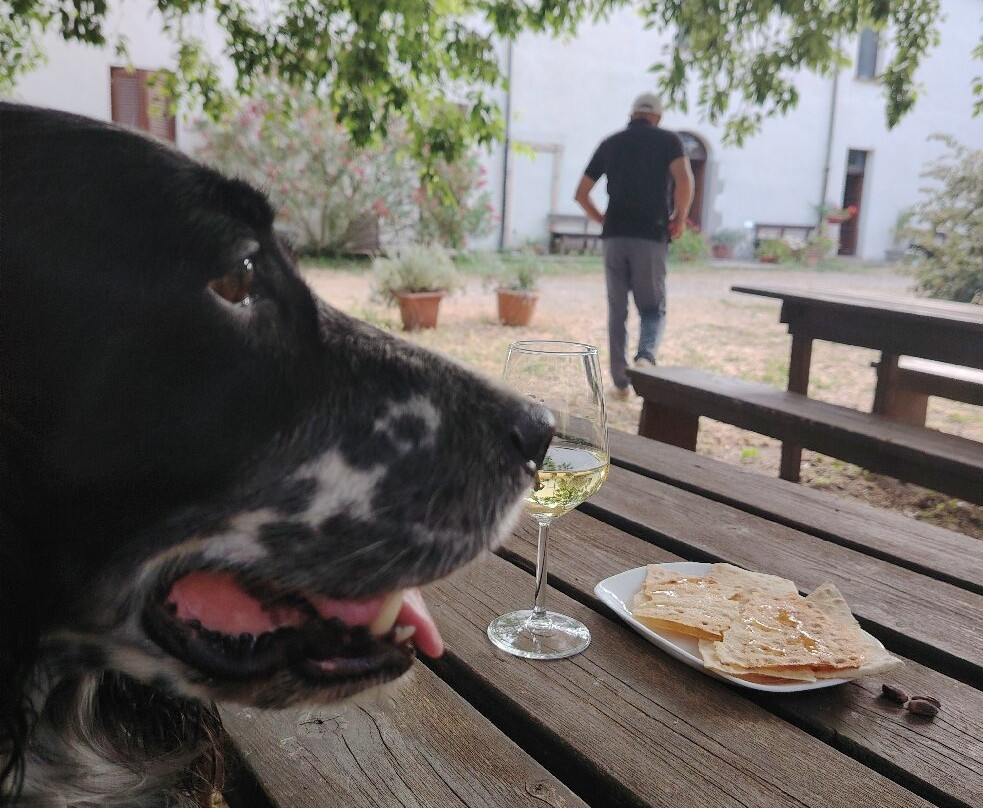 Hotel Locanda Minerva主图