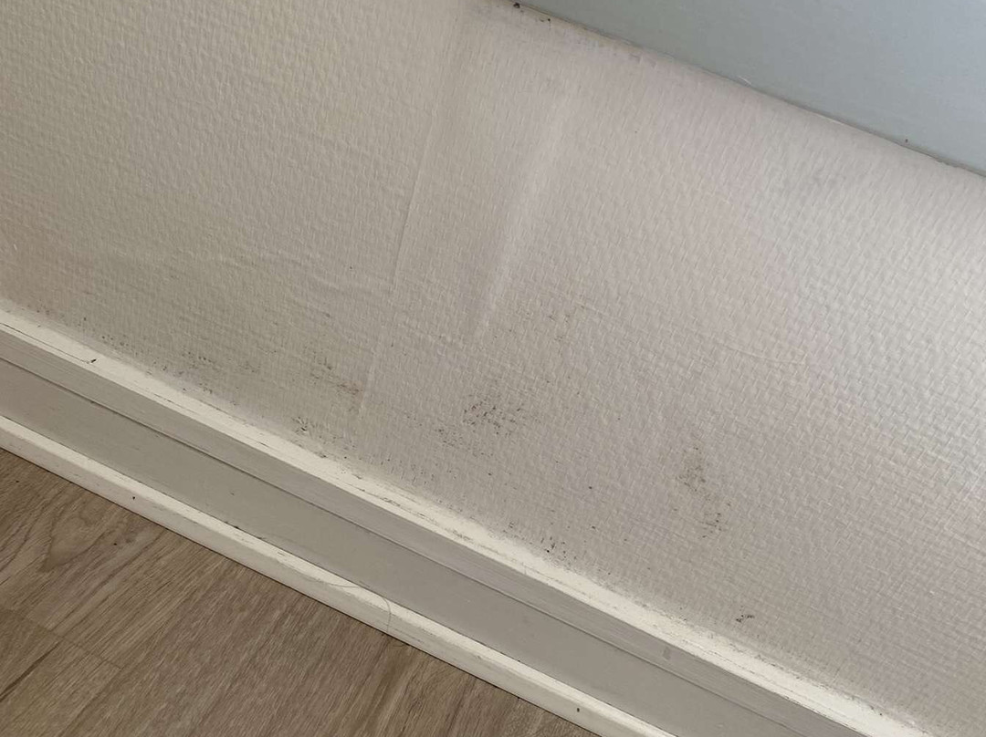 散库斯贝德酒店主图