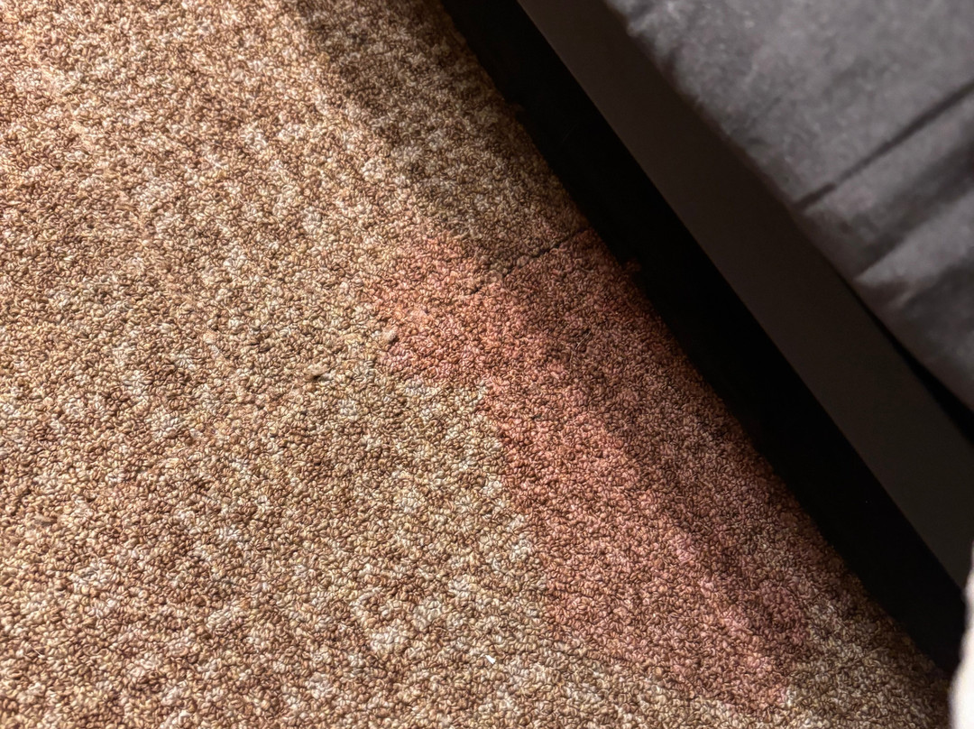 Home2 Suites by Hilton Meridian主图