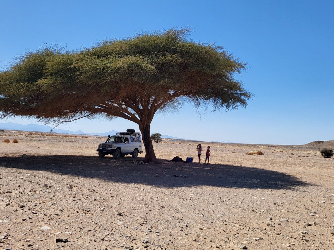 Emperor Desert Safaris-赫尔格达必去景点