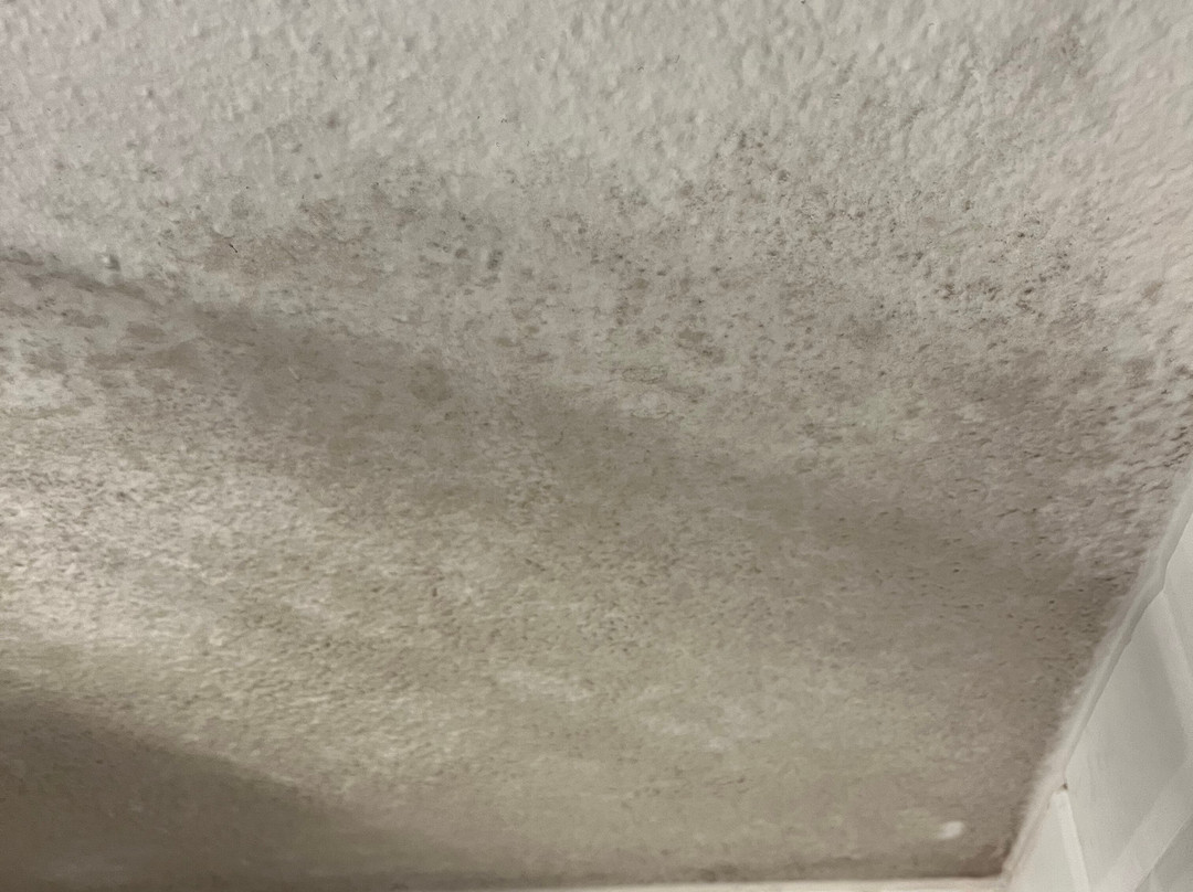 B&B HOTEL Angers 1 Beaucouzé主图