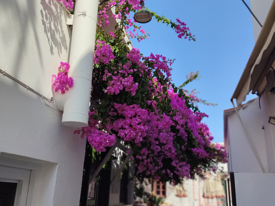 Experience Kythnos-Kithnos Town必去景点