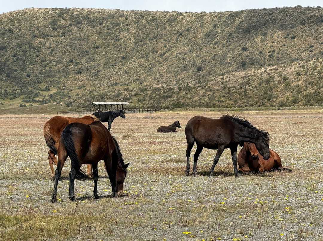 Traveler's Magic-基多必去景点