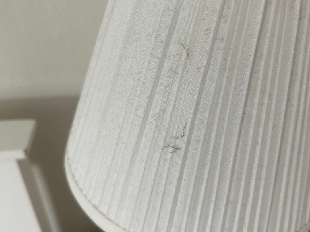 Grasmere Court主图