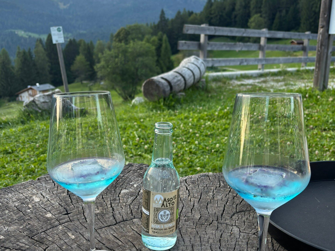 Agritur Dalaip dei Pape主图