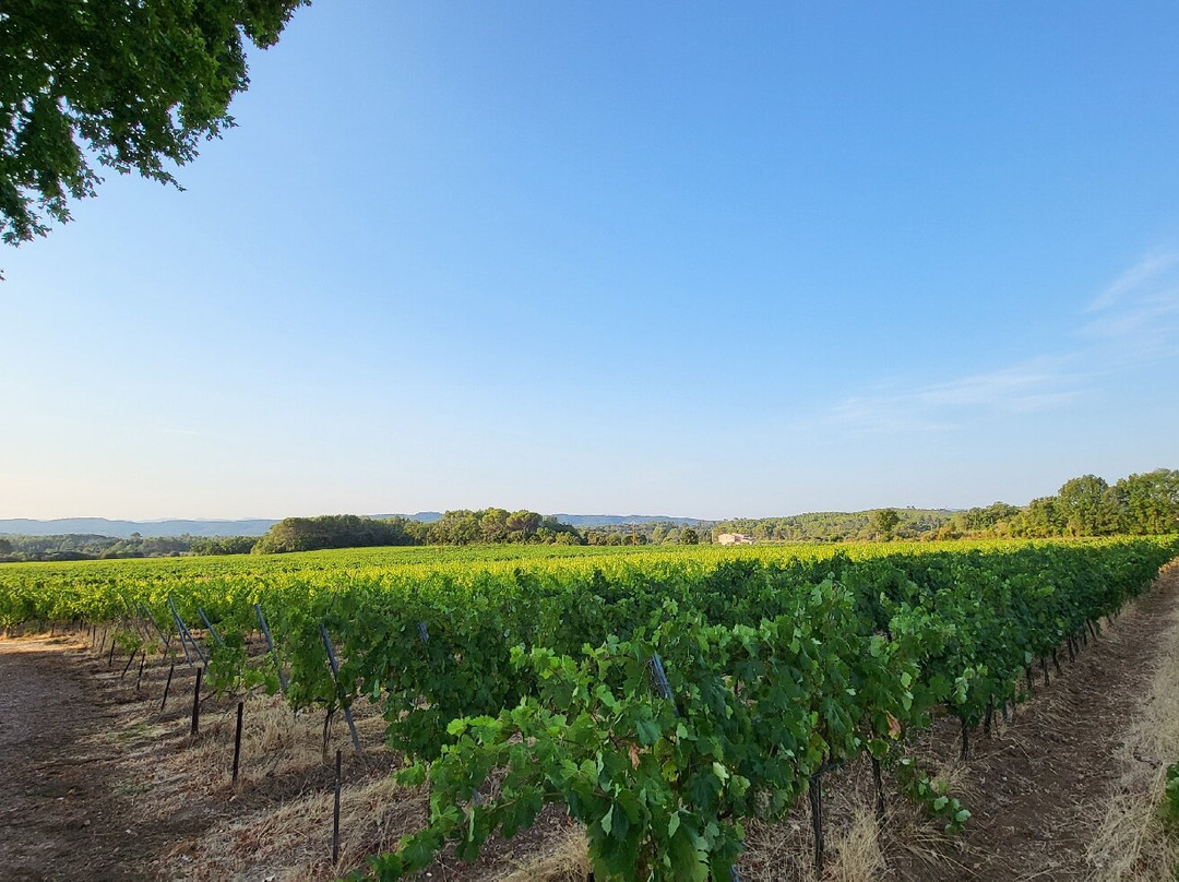 Chateau Nestuby主图