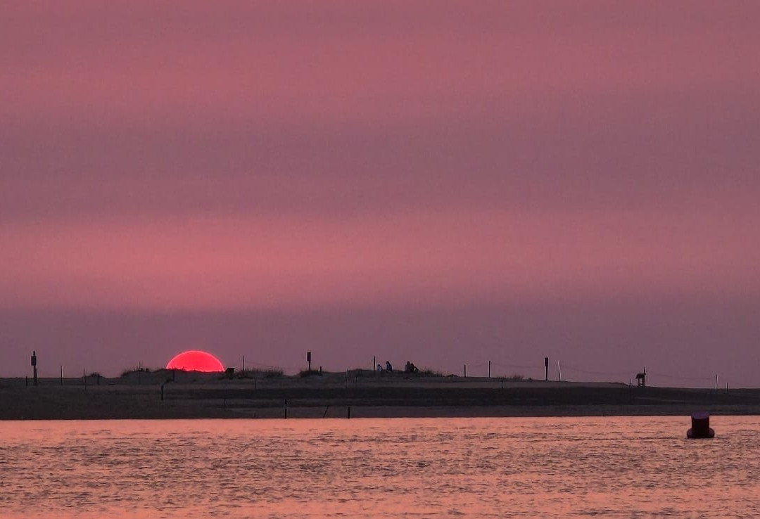 Wells Harbour Tours-Wells-next-the-Sea必去景点