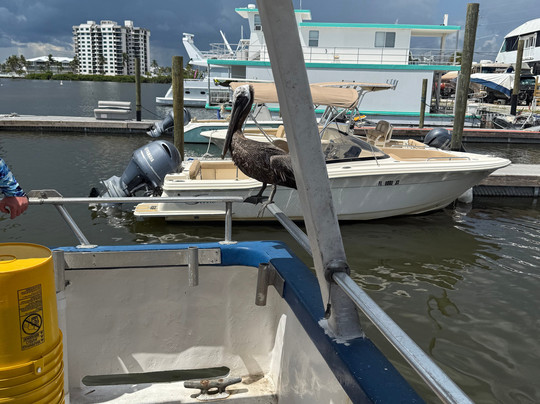 Capt. Tony's Fishing Adventures-迈尔斯堡海滩必去景点