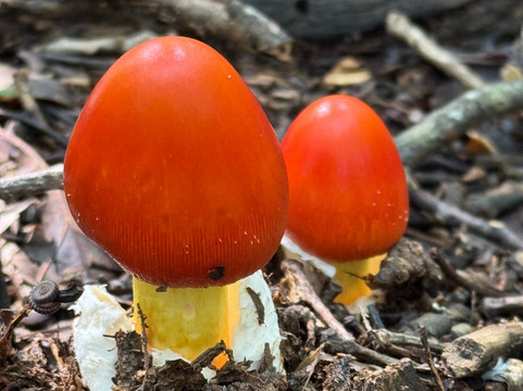 Colonel Francis Beatty Park