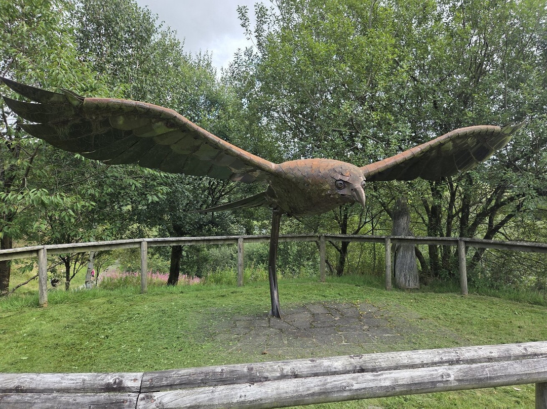 Bwlch Nant yr Arian Forest Visitor Centre-阿伯里斯特威斯必去景点