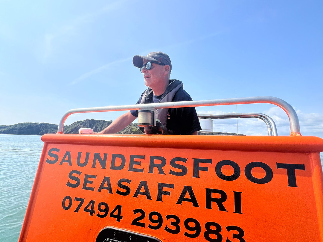 Saundersfoot Sea Safari-桑德斯富特必去景点