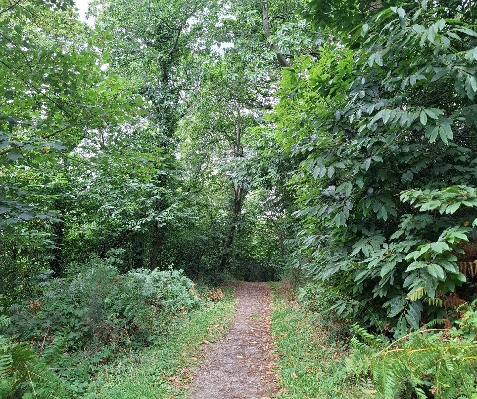 Marlogue Woods-科夫必去景点