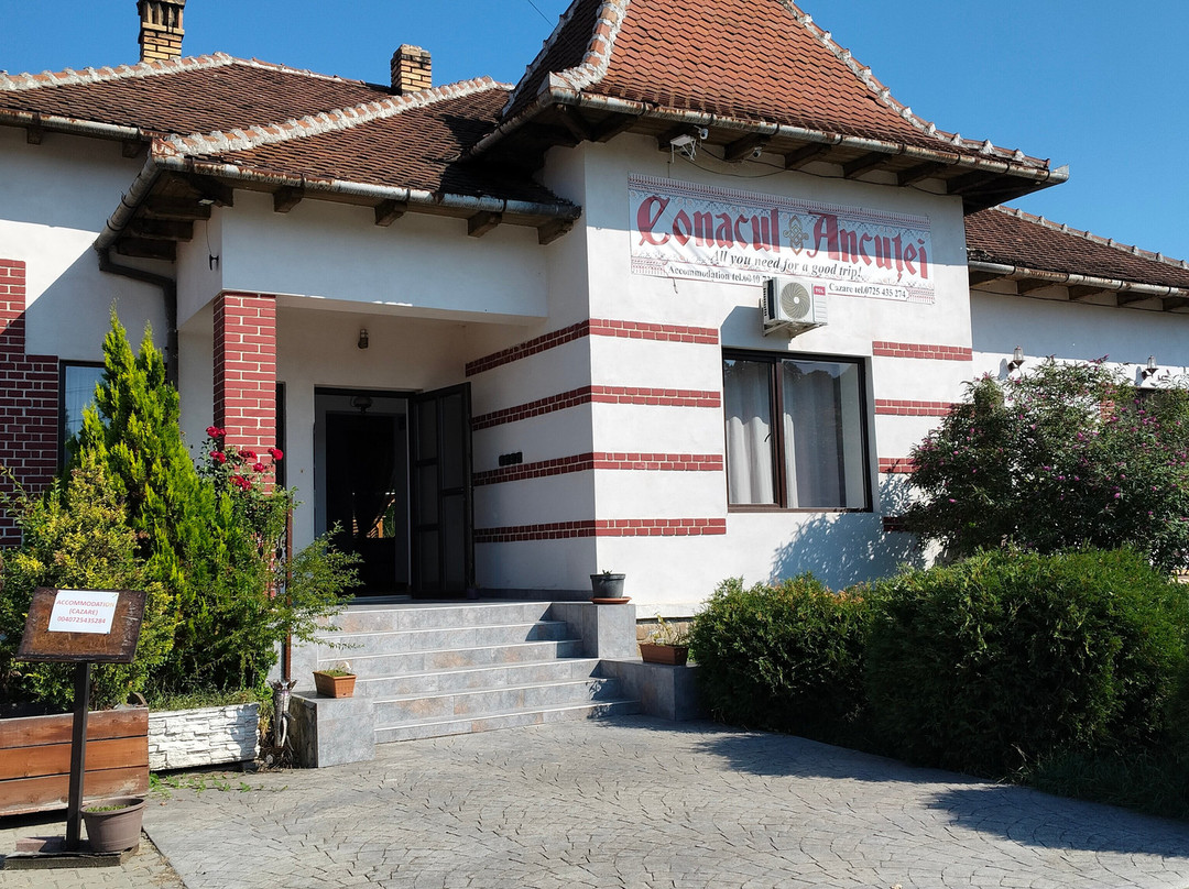 Conacul Ancuței
