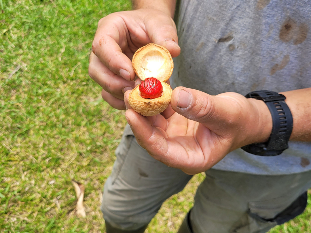 Bitasyon Bio-Saint-Philippe必去景点