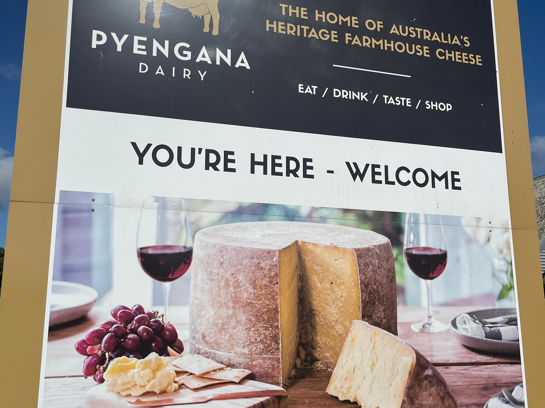 Pyengana Dairy-Pyengana必去景点