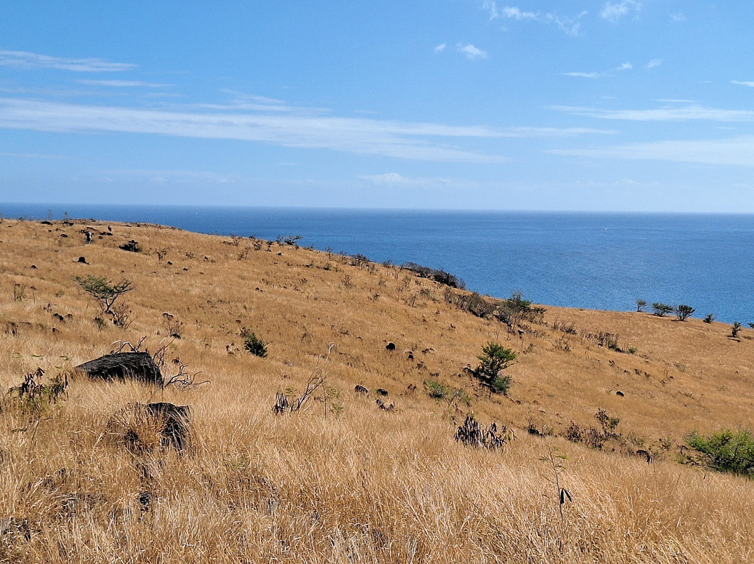 Cap La Houssaye-圣保罗必去景点