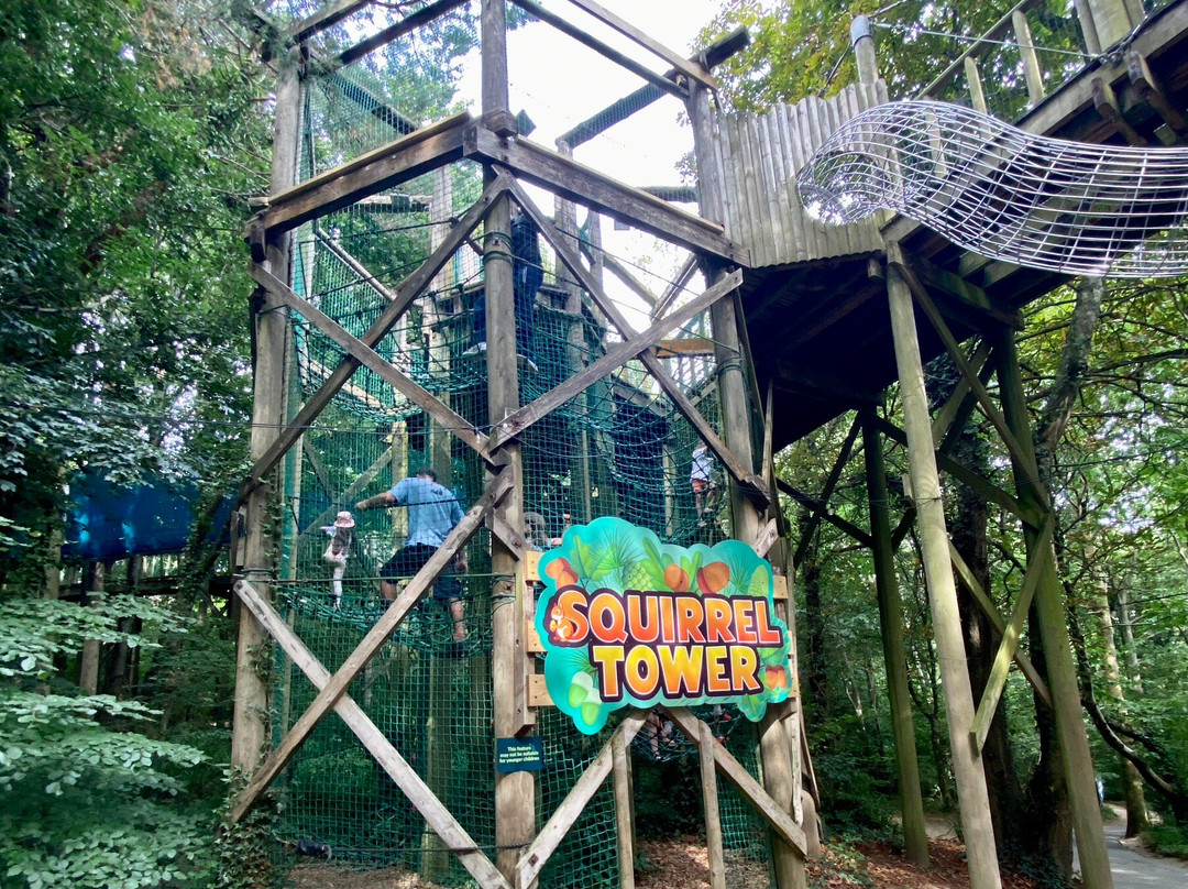 Robin Hill Adventure Park-纽波特必去景点
