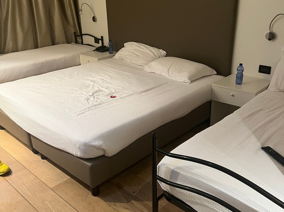 Ferretti Majestic House主图