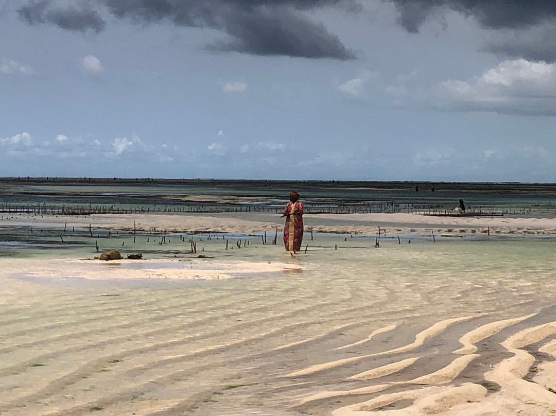 Pwani Mchangani Beach-Pwani Mchangani必去景点