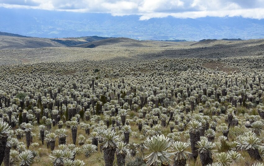 GUIDEcuador Travel-基多必去景点