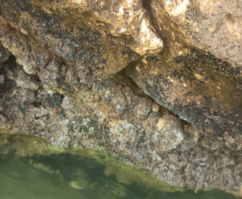 Baia di Manaccora-佩斯基奇必去景点