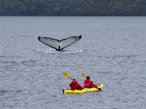 Solo Expediciones-蓬塔阿雷纳斯必去景点