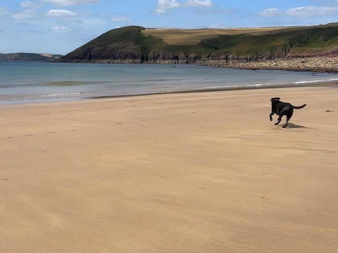 Manorbier Beach-Manorbier必去景点