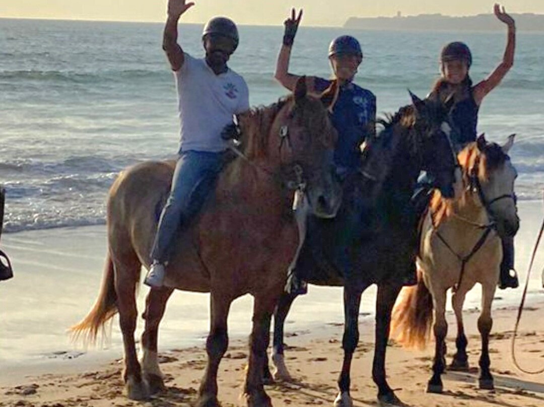 Eco Salgados Agroturismo-佩尼切必去景点