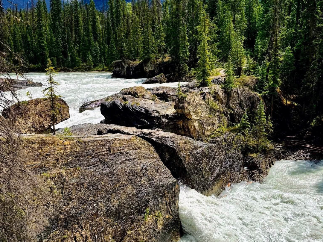 Ascent Tours-班夫必去景点