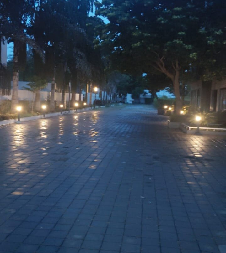 The Emerald Club主图