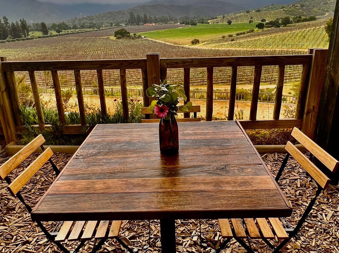 Villard Fine Wines-卡萨布兰卡必去景点