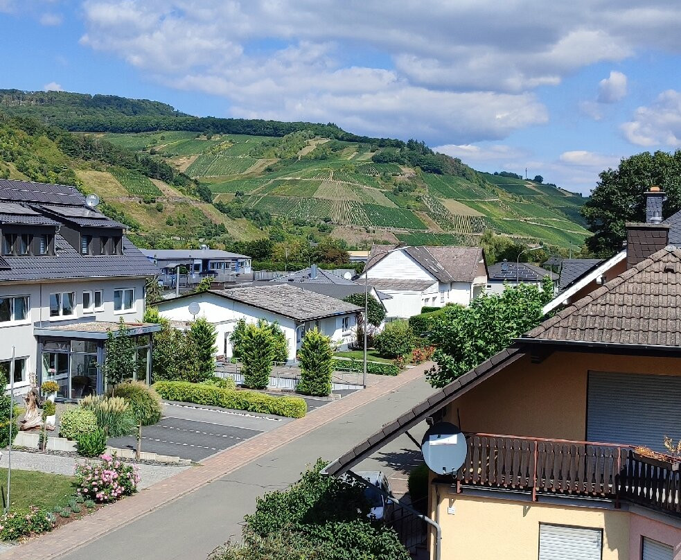 Moselhotel Weinhaus Simon主图