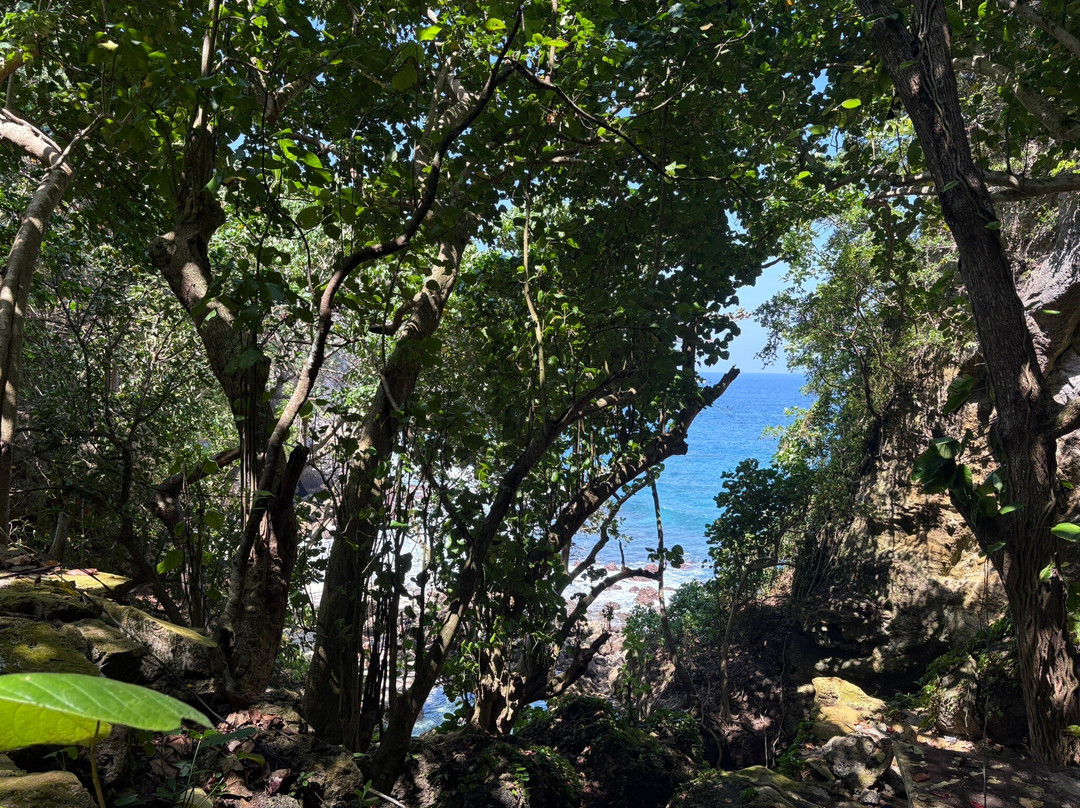 Tembeling Beach and Forest-珀尼达岛必去景点