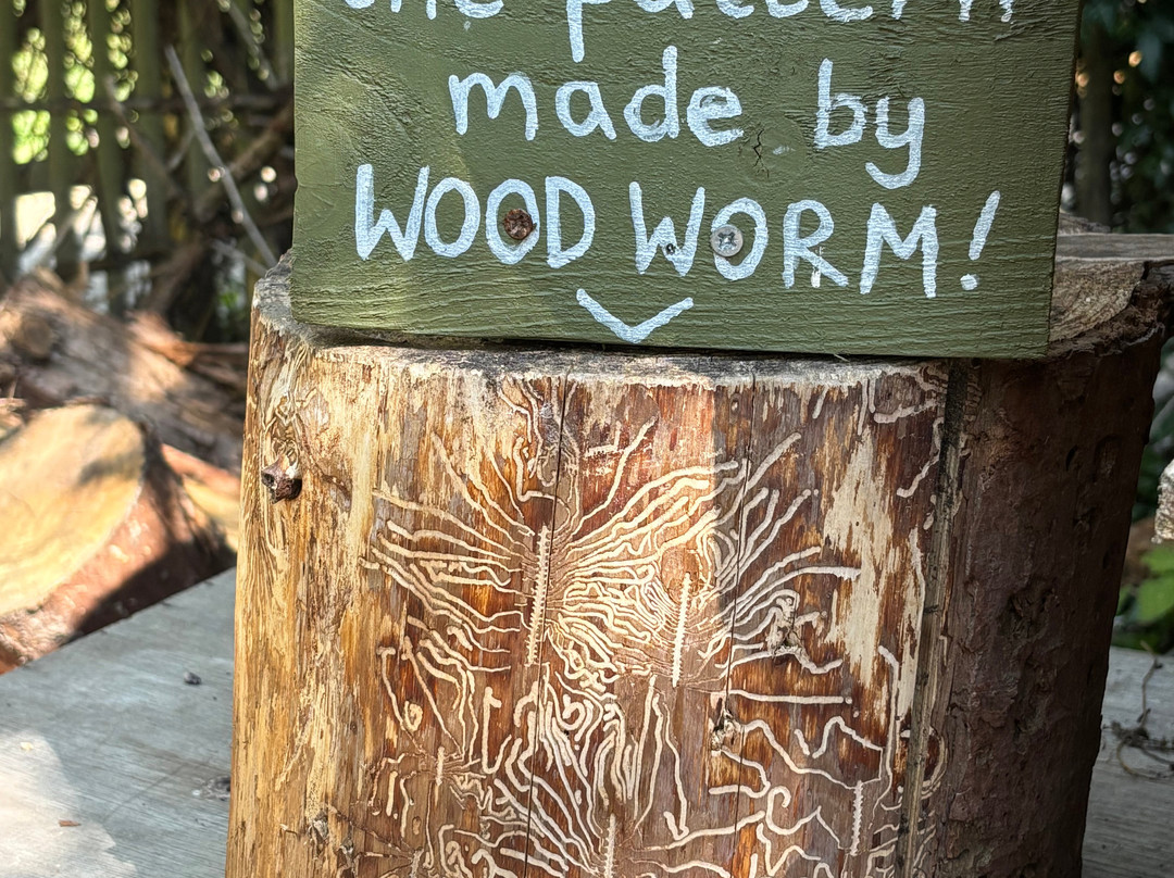 Birdworld-法纳姆必去景点