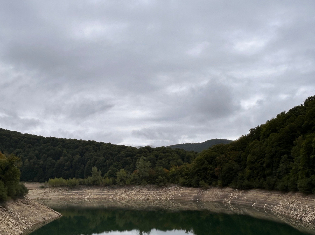 Selva de Irati-纳瓦拉必去景点