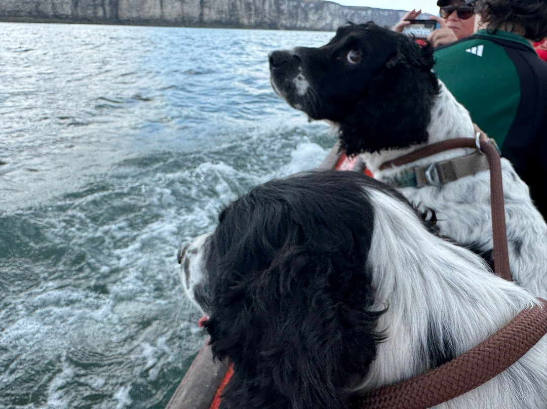 North Landing Boat Tours and Fishing Trips-Flamborough必去景点