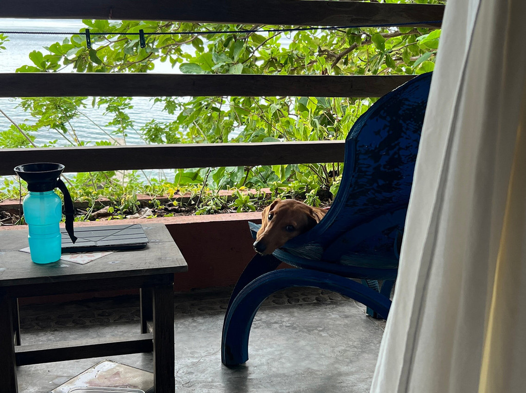 波图拉诺潜水度假村主图