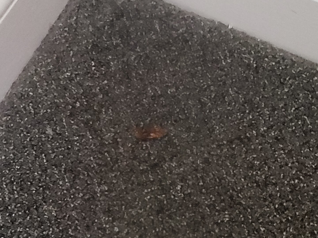 银湖度假村主图